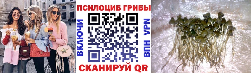 Псилоцибиновые грибы Psilocybine cubensis  Купить где  Углегорск 